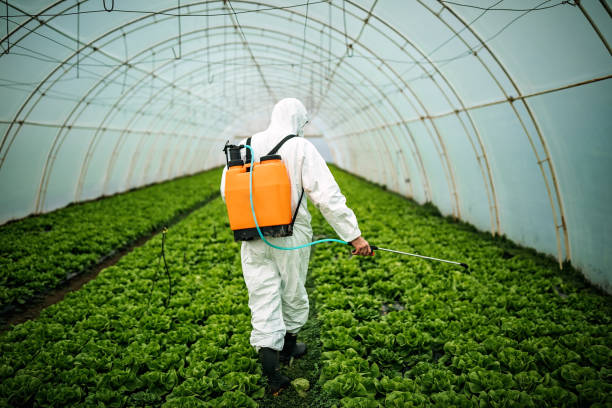 Pest Prevention Services in Wyandanch, NY