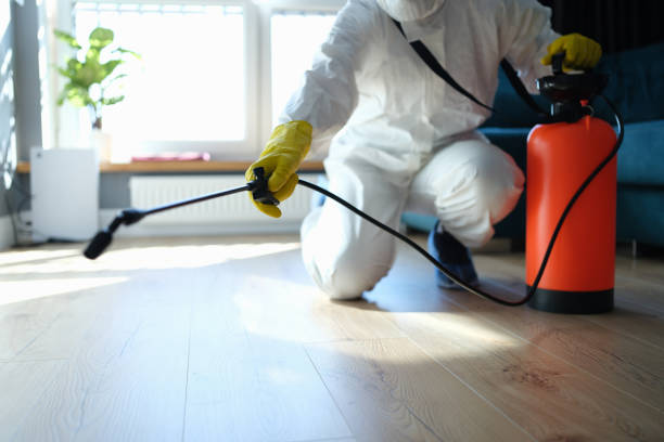 Professional Pest Control in Wyandanch, NY