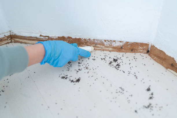 Best Commercial Pest Control Services  in Wyandanch, NY