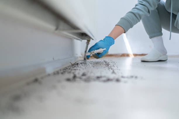 Best Commercial Pest Control Services  in Wyandanch, NY