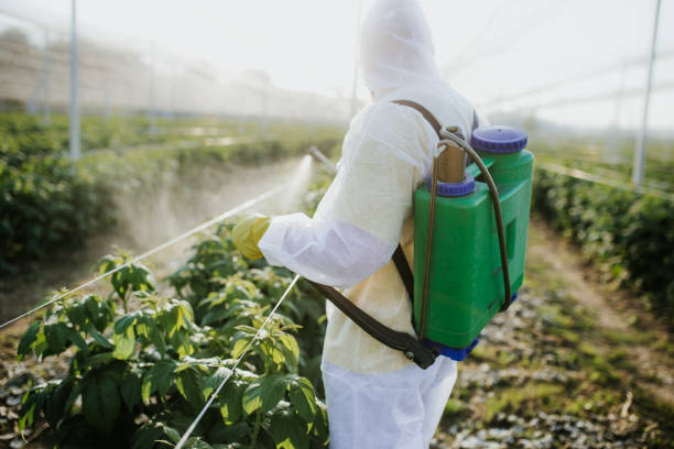 Best Pest Prevention Services  in Wyandanch, NY